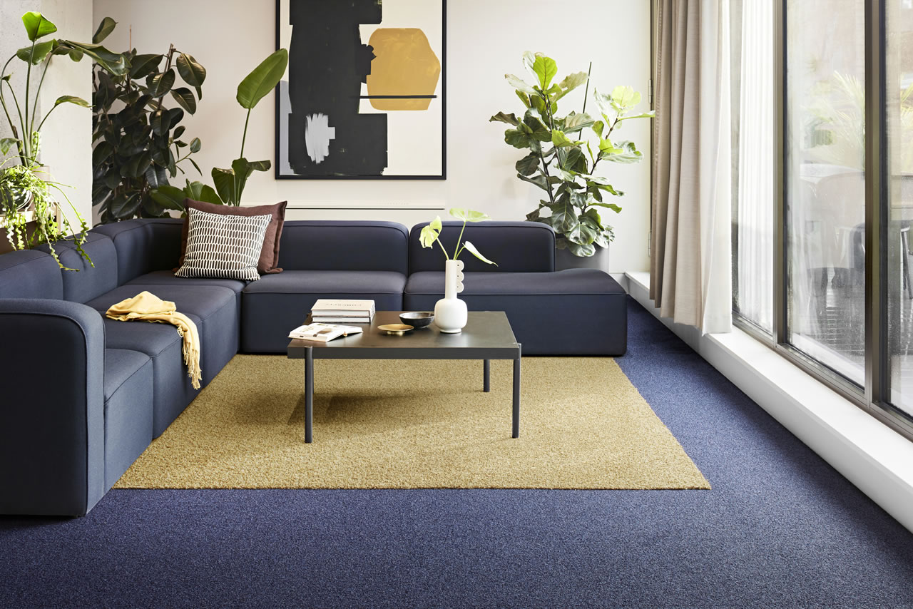 Interface Touch &Tones II 1